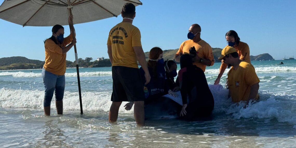 Força-tarefa resgata cachalote-mirim após três encalhes em menos de 24 horas em Cabo Frio