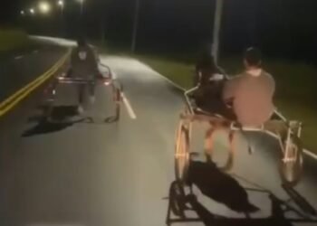 Jovem e cavalo morrem em acidente durante suposta corrida clandestina em Rio das Ostras; veja vídeo