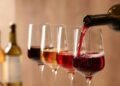 Vinho, jazz e blues: festival reúne sabores, música e mais de 15 produtores em Macaé