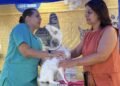 CastraMóvel leva serviços de saúde animal ao Gelson Apicelo, em Rio das Ostras