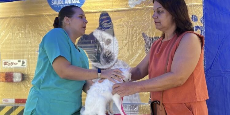 CastraMóvel leva serviços de saúde animal ao Gelson Apicelo, em Rio das Ostras