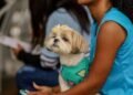 Castramóvel volta atender no Jd. Esperança, em Cabo Frio; castração gratuita de cães e gatos segue até sexta-feira