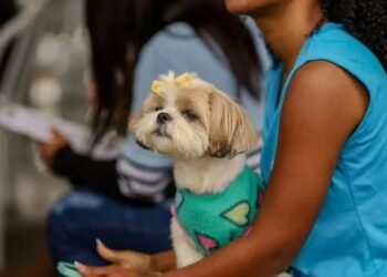 Castramóvel volta atender no Jd. Esperança, em Cabo Frio; castração gratuita de cães e gatos segue até sexta-feira