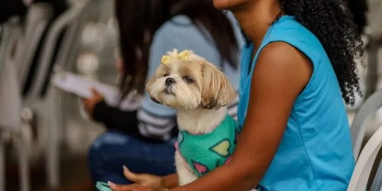 Castramóvel volta atender no Jd. Esperança, em Cabo Frio; castração gratuita de cães e gatos segue até sexta-feira