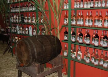 Festival da Cachaça de Paraty começa nesta quinta (20) com shows, gastronomia e tradição; veja programação