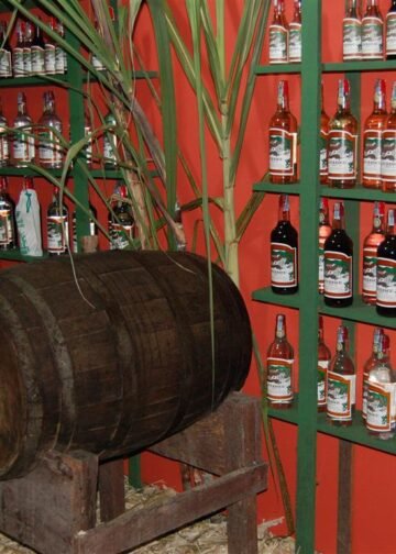 Festival da Cachaça de Paraty começa nesta quinta (20) com shows, gastronomia e tradição; veja programação