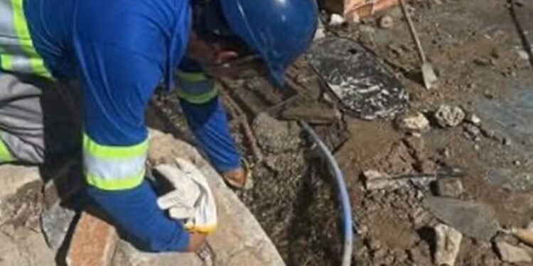 “Gatos” de água são descobertos em São Pedro da Aldeia