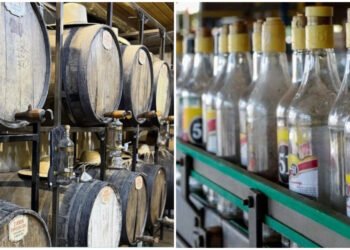 Dia Nacional da Cachaça: a história por trás da bebida genuinamente brasileira