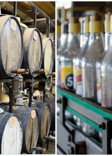 Dia Nacional da Cachaça: a história por trás da bebida genuinamente brasileira