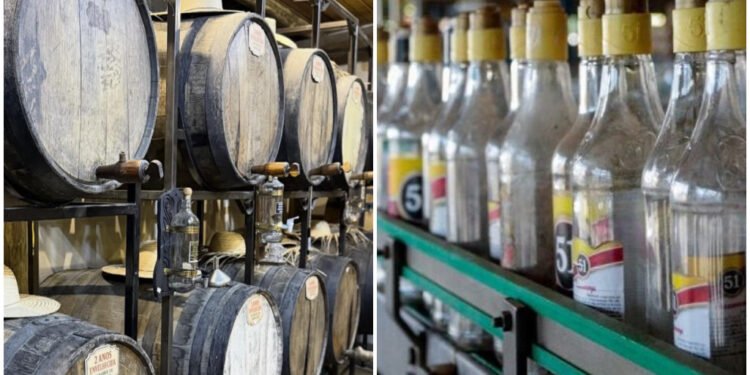 Dia Nacional da Cachaça: a história por trás da bebida genuinamente brasileira