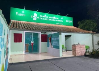 Arraial do Cabo amplia atendimento para exames dos pets antes da castração gratuita; veja detalhes