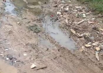 Moradores de Maria Joaquina ficam sem van e cobram manutenção das ruas de terra