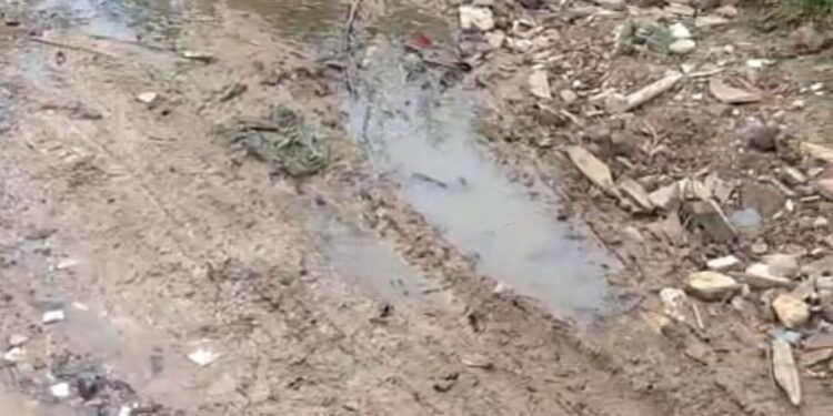 Moradores de Maria Joaquina ficam sem van e cobram manutenção das ruas de terra