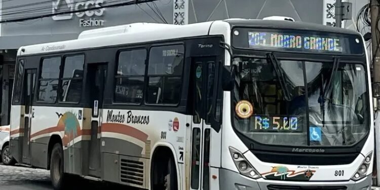 Confira as sete linhas de ônibus gratuitas no dia das eleições em Morro Grande, em Araruama