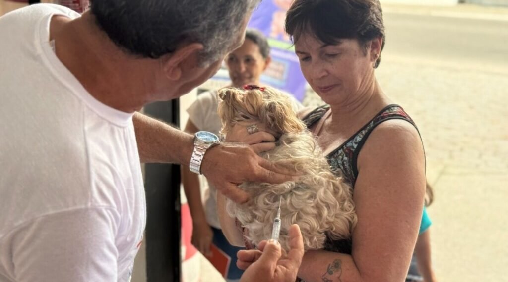 Cabo Frio inicia campanha de vacinação antirrábica neste sábado (19); confira os locais