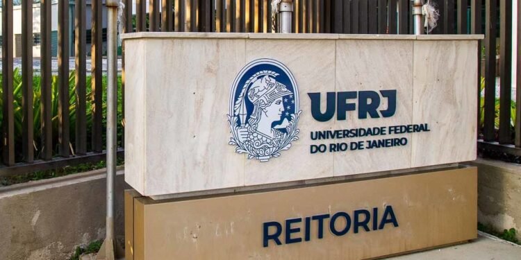 Inscrições abertas para projetos ligados à Mata Atlântica; 30 iniciativas receberão R$ 1 mil