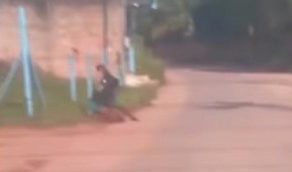 Cachorro é agredido com diversos socos em Macaé; BO foi registrado