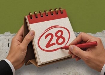 Por que 28 de outubro é o Dia do Servidor Público?