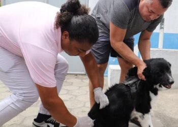 Vacinação antirrábica terá quatro etapas em novembro; veja calendário em Rio das Ostras